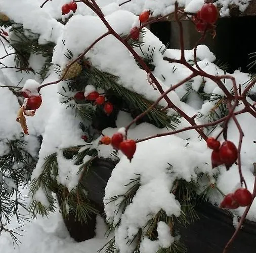 Grangia In Borgo Antico * Bardonecchia