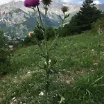 Daire Grangia In Borgo Antico Bardonecchia