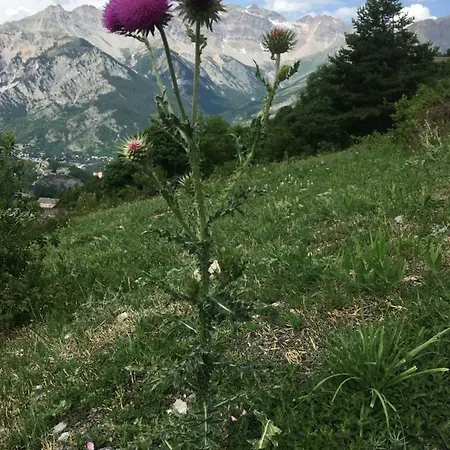 Apartment Grangia In Borgo Antico Bardonecchia