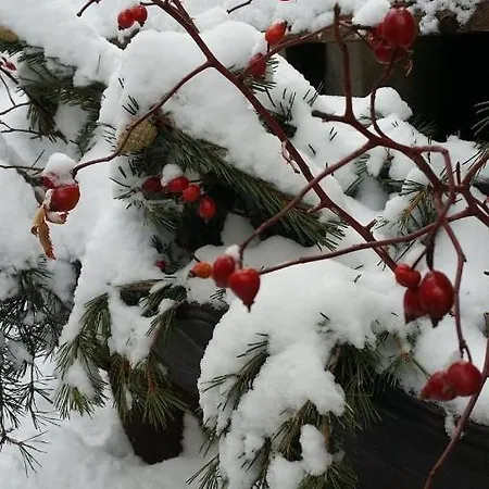 Grangia In Borgo Antico * Bardonecchia