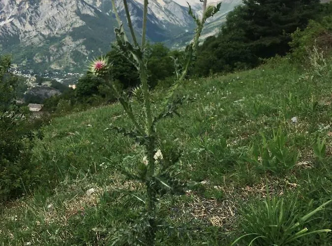 Lejlighed Grangia In Borgo Antico Bardonecchia