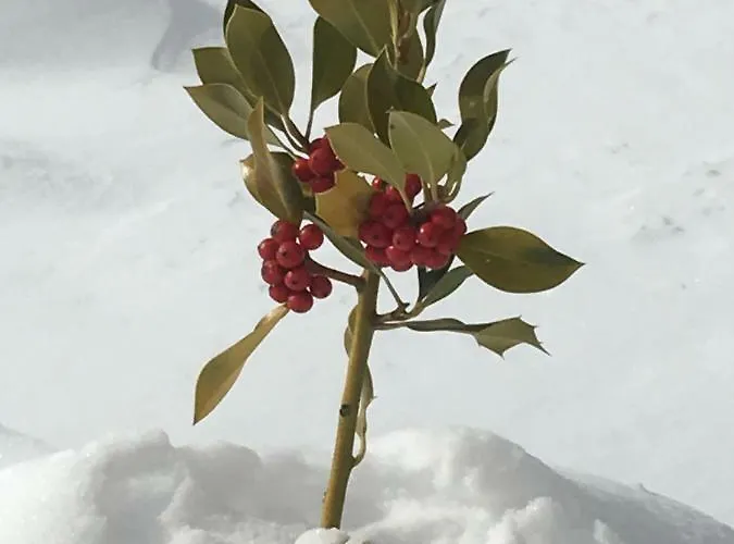 Appartement Grangia In Borgo Antico